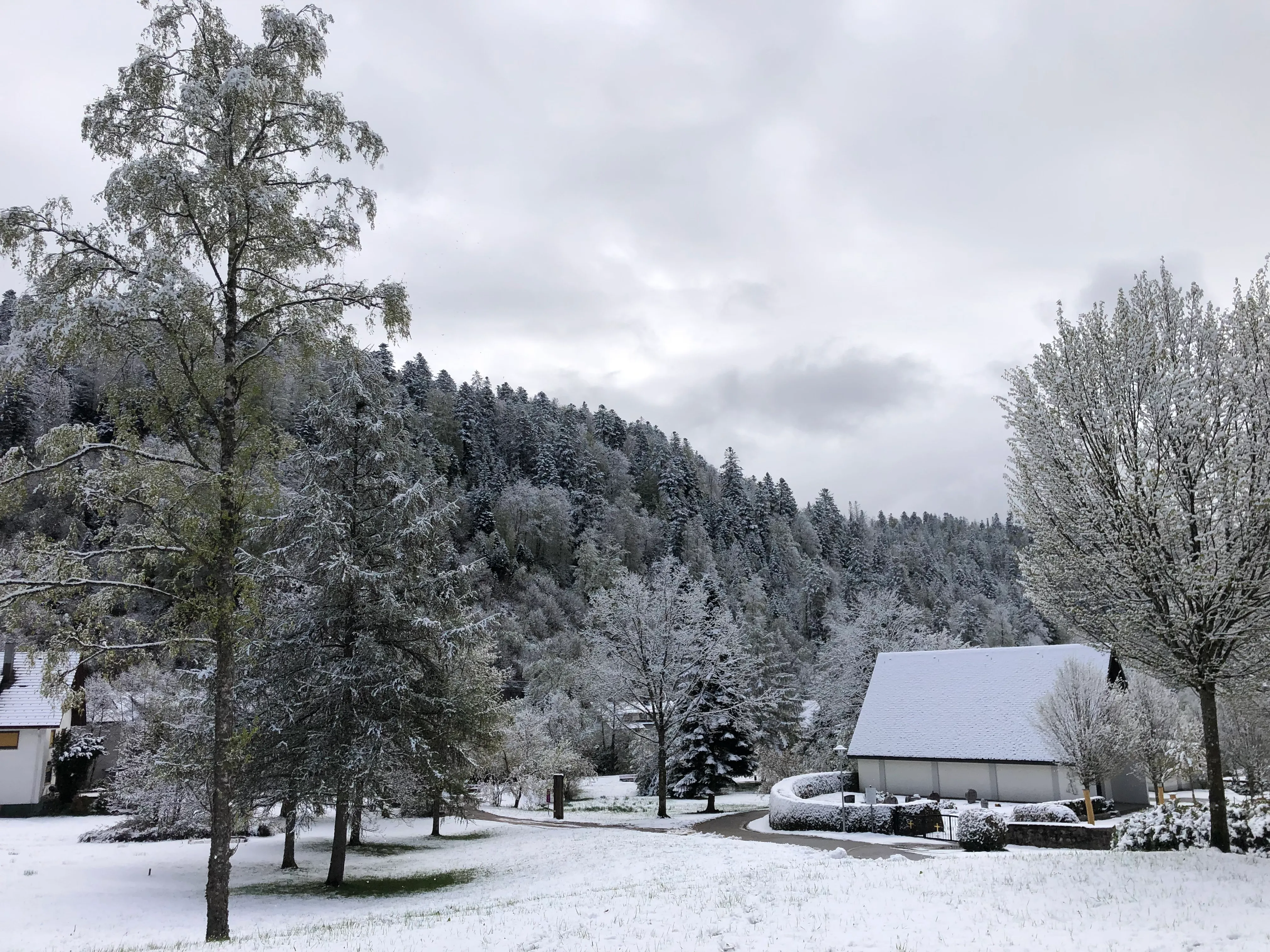 Schwarzwald Umgebung